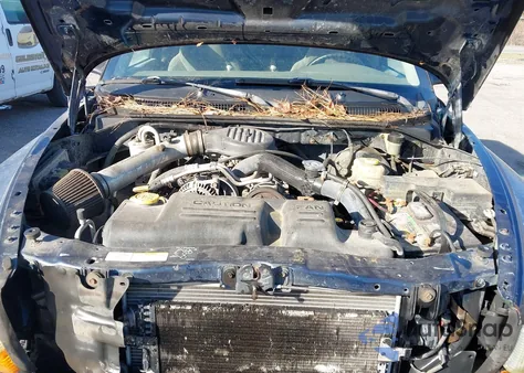 2003 Dodge Dakota z USA, uszkodzony, nr VIN 1D7HG12X73S152354